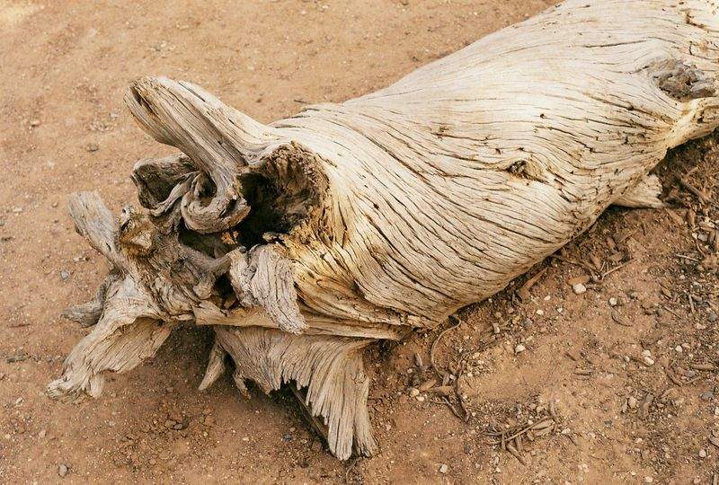 NaturWunder GmbH - Image 1