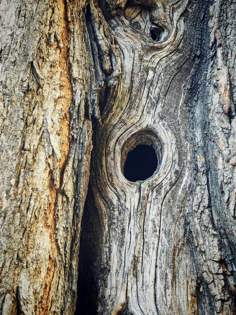 NaturWunder GmbH - Image 13