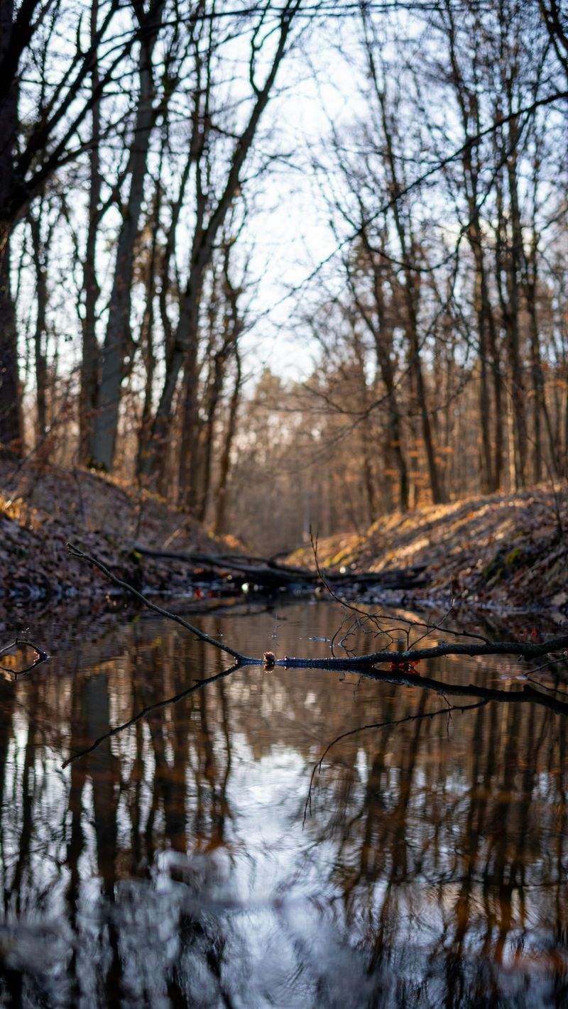 NaturWunder GmbH - Image 4