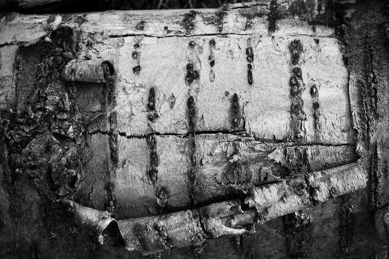 NaturWunder GmbH - Image 9